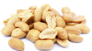 Peanut Protein Introduction 